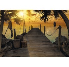 Fototapeta papierová 8-918 VOL 15 Treasure Island 8-dielna 368x254 cm