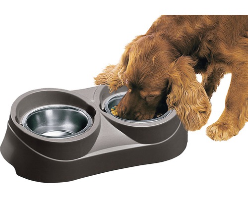 Dvojitá miska pre psy s psom pri jedle