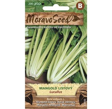 Mangold Lucullus balíček semien