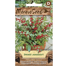 Balíček semien jahodového špenátu