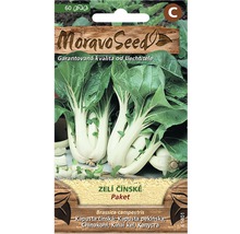 Balíček semien čínskej kapusty