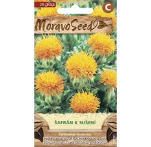 Šafran na sušenie - požlt farbiarsky oranžový MoravoSeed