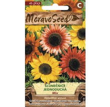 Balíček semien slnečnice Moravo Seed mix