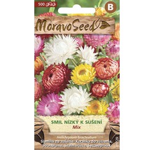 Zmes semien kvetov na sušené kvety od Moravo Seed