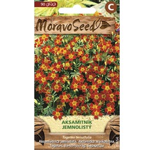 Balenie semien Tagetes tenuifolia s ilustráciou rastliny