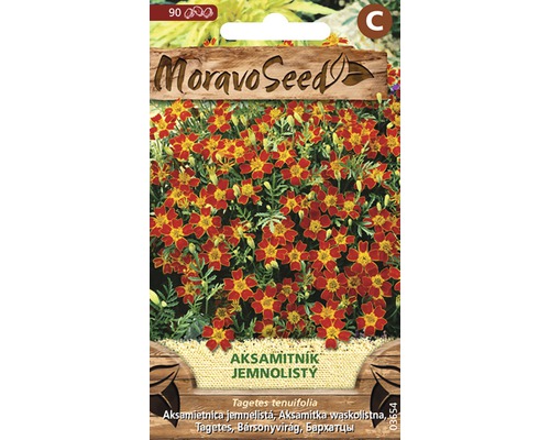 Aksamietnica jemnolistá MoravoSeed Balenie semien Tagetes tenuifolia s ilustráciou rastliny