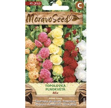 Balenie semien plnokvetej topolovky mix