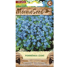 Balíček semien Nezábudka lesná od Moravo Seed