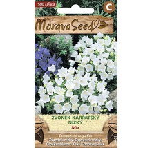 Balenie semien zmesi zvončeka karpatského