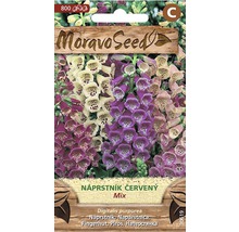 Balenie semien náprstníka červeného Moravo Seed