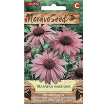 Balenie semien echinacey purpurovej Moravo Seed