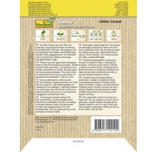Semená paradajky FloraSelf Bio Golden Currant
