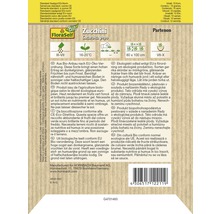 Balenie semien FloraSelf Bio Zucchini Partenon