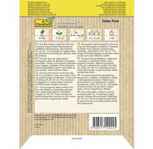 Semená petržlenu odrody Grüne Perle