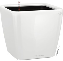 Biely kvetináč so zavlažovacím systémom