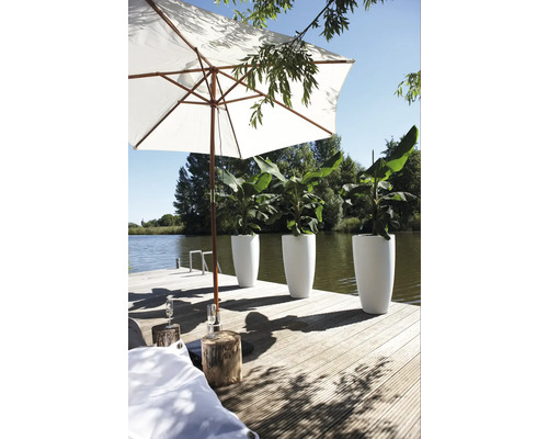 Scéna na drevenom móle so slnečníkom a kvetináčmi s rastlinami