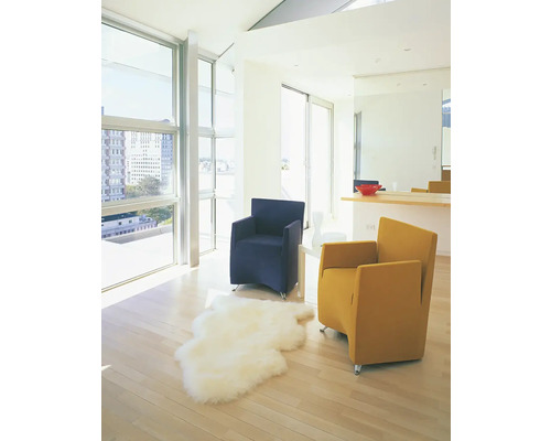 Svetlá obývacia izba s dvoma kreslami, kobercom a veľkými oknami