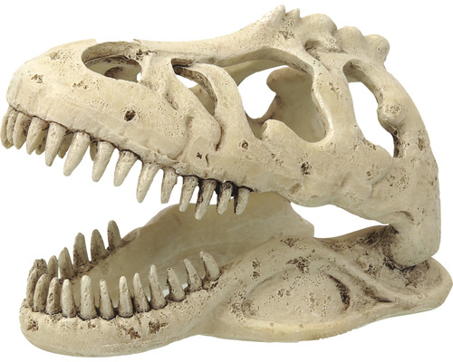 Dekorácia do terária Repti Planet T-Rex lebka 13,3x8,5x9 cm-0