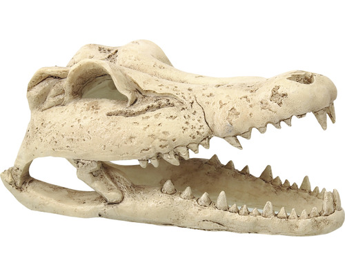 Dekorácia do terária Repti Planet Krokodíl lebka 13,8x6,8x6,5 cm