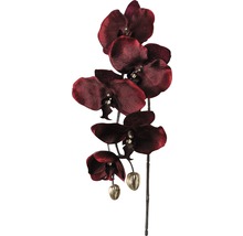 Dekorácia phalaenopsis velvet 68 cm bordó-thumb-0