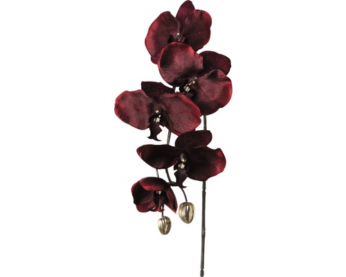 Dekorácia phalaenopsis velvet 68 cm bordó-0