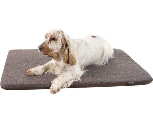 Pes leží na pelechu