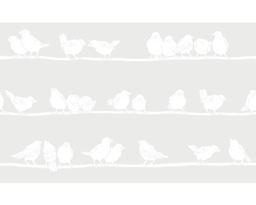 Statická fólia priehľadná Glasdekor Static Premium Filippa 45x150 cm Tapeta so vzorom vtákov