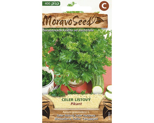 Zeler listový PIKANT kučeravý MoravoSeed