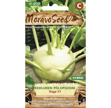 Balíček semien kalerábu Moravo Seed