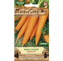 Balenie semien neskorej mrkvy MoravoSeed Cortina F1