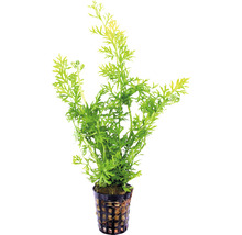 Umelá vodná rastlina v kvetináči pre akvária