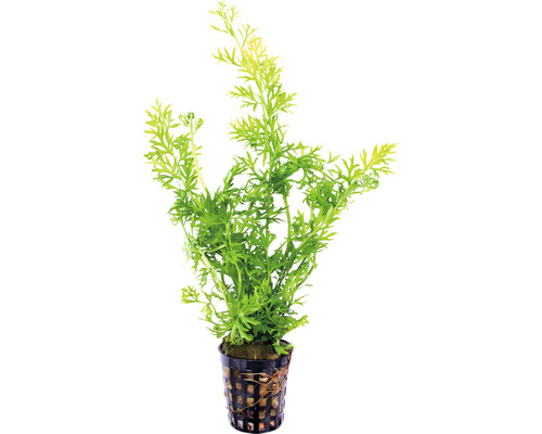 Umelá vodná rastlina v kvetináči pre akvária