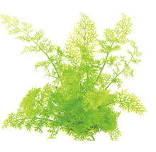 Umelá rastlina pre akvária