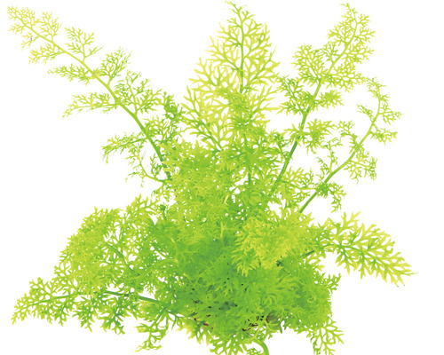 Umelá rastlina pre akvária