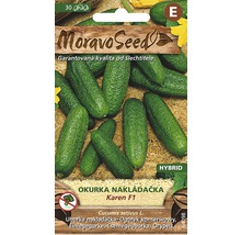 Semená uhorky odrody Karen F1