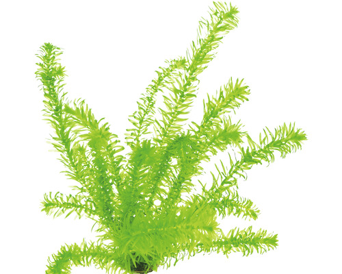 Umelá vodná rastlina pre akváriá