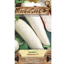 Balenie semien reďkovky Alabaster F1