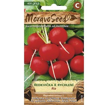 Balenie semien reďkovky Moravo Seed