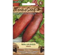 Sada semien červenej repy