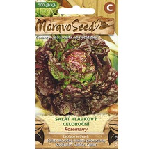 Balenie semien hlávkového šalátu Rosemarry