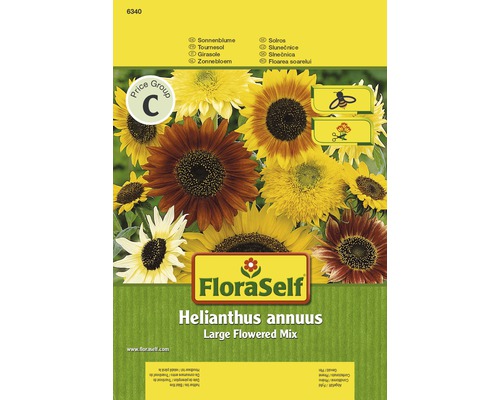 FloraSelf Slnečnica Helianthus annuus Veľkokvetá zmes balenie semien