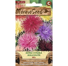 Balenie semien zmesi aster Moravo Seed