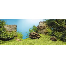 Pozadie do akvária Juwel rastliny/skaly 150x60 cm-thumb-0