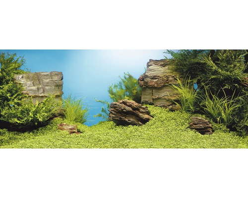 Pozadie do akvária Juwel rastliny/skaly 150x60 cm-0
