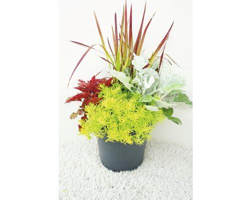 Kvetinové aranžmán s rôznymi rastlinami v kvetináči