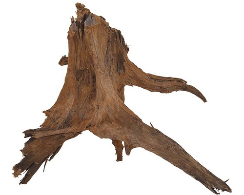 Dekorácia do akvária Amazonas Root XL 40-60 cm