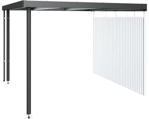 Prístrešok pre záhradný domček Biohort HighLine H5 282 x 315 cm tmavosivý metalický