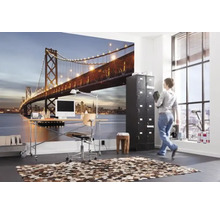 Fototapeta papierová 8-733 VOL 15 Bay Bridge 8-dielna 368x254 cm