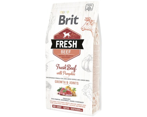 Granule pre psov Brit Fresh Beef Puppy Large 2,5 kg Brit Čerstvé hovädzie mäso s tekvicou, balenie krmiva pre psy