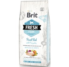 Brit Fresh Fish krmivo pre psy, prírodná receptúra s tekvicou pre veľké plemená